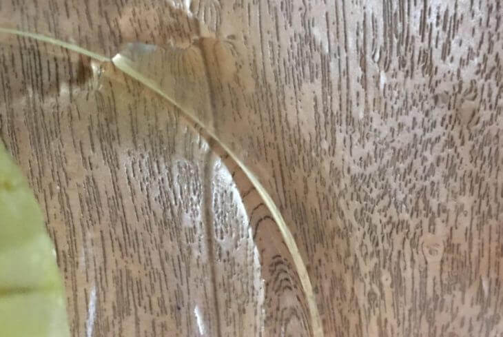 残留農薬・展着剤