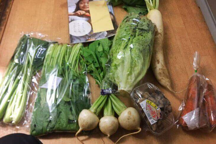 ミレーの野菜お試しセット