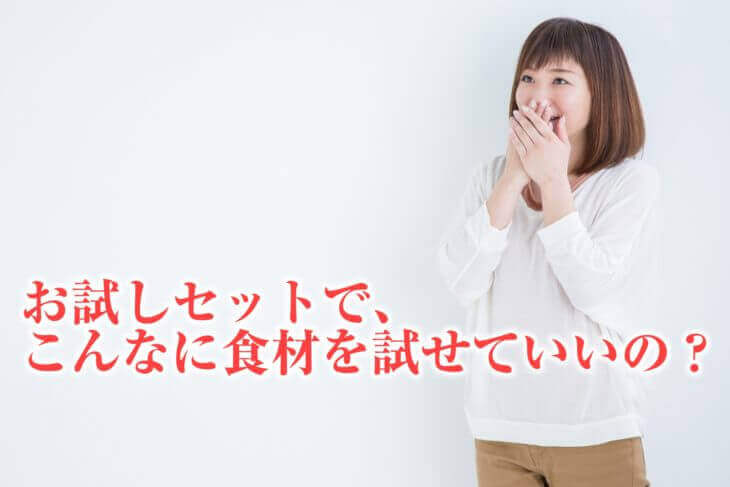 お試しセットから感じたこと