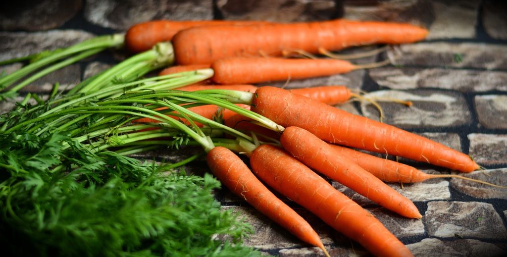 野菜の食物繊維が健康にいい理由