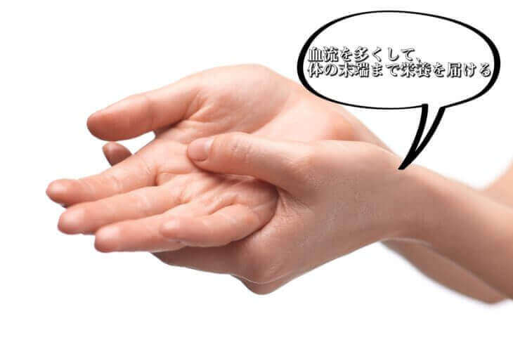 血流を多くして体の末端まで栄養を届ける