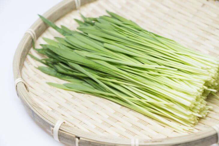 大麦若葉