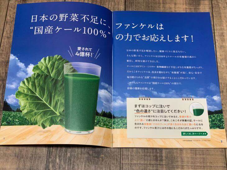 1食分のケール青汁説明書