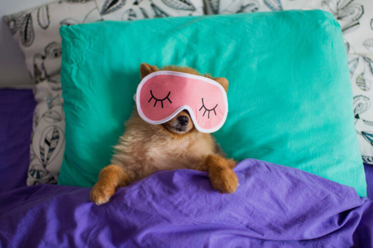ケールには快眠効果が期待できる!