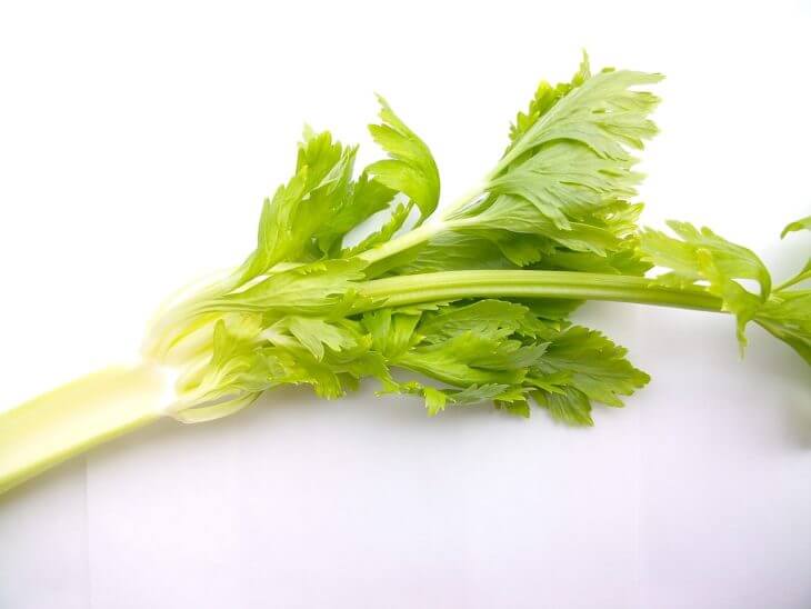 セロリの紹介!セロリはこんな野菜です