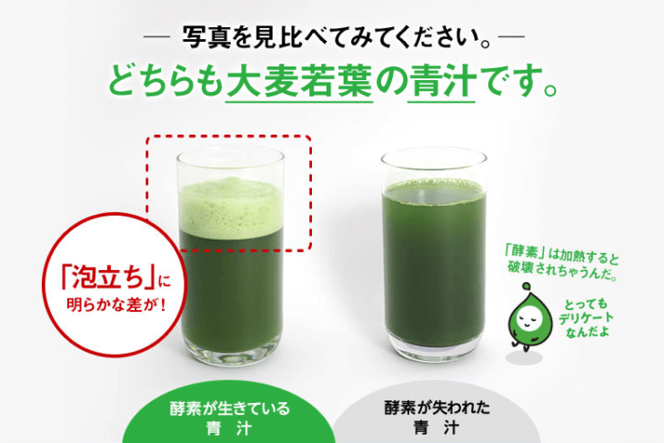 リッチグリーンの酵素