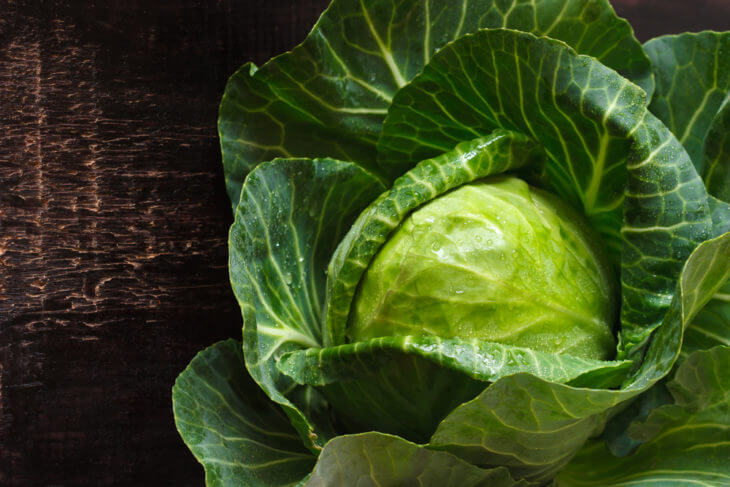 キャベツはダイエットの向いた野菜?