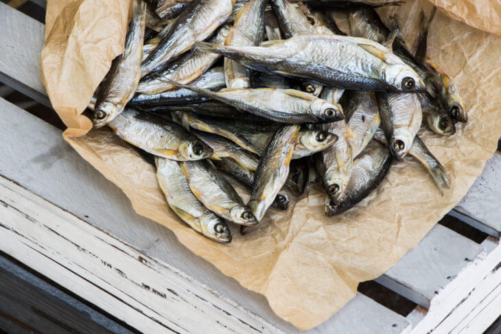 イワシなどの小魚